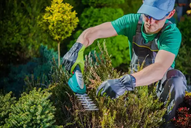 landscaping services Addison